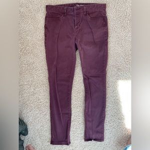 Gap Always Skinny size 6R pants
